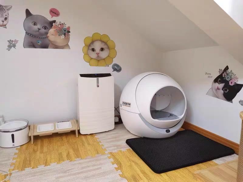 7 Tips to Organize Your Cat's Litter Box Area