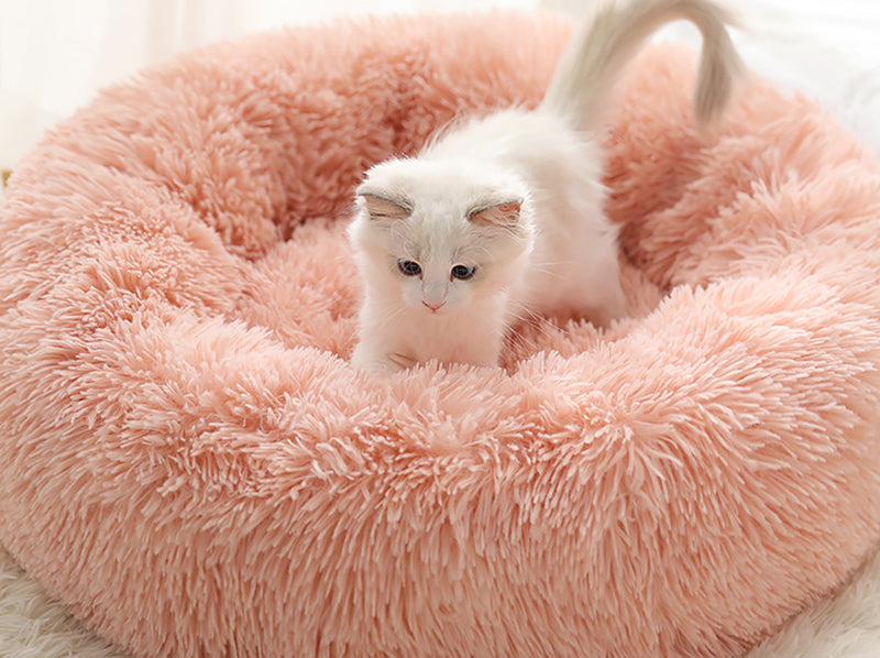 How Do I Decide What Litter Box Is Right for Me and My Cat?