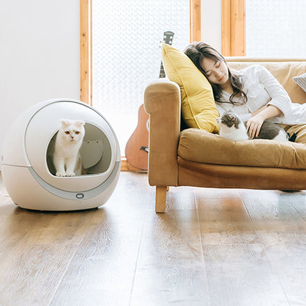 Petree Self Cleaning Litter Box