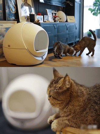 Petree Self Cleaning Litter Box