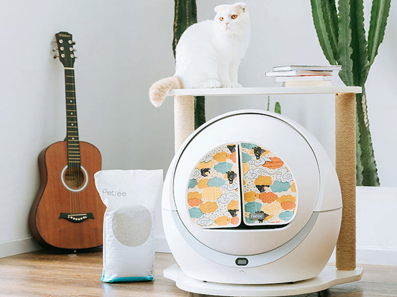 8 Best Self Cleaning Litter Boxes (Update 2022) Petree Litter Boxes
