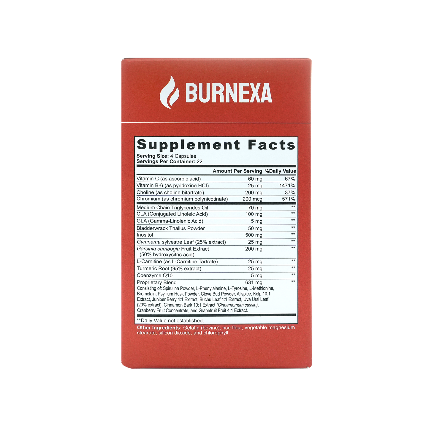 Burnexa Day Time Fat Burner With MCT Oil