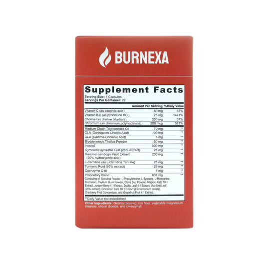 Burnexa Day Time Fat Burner With MCT Oil
