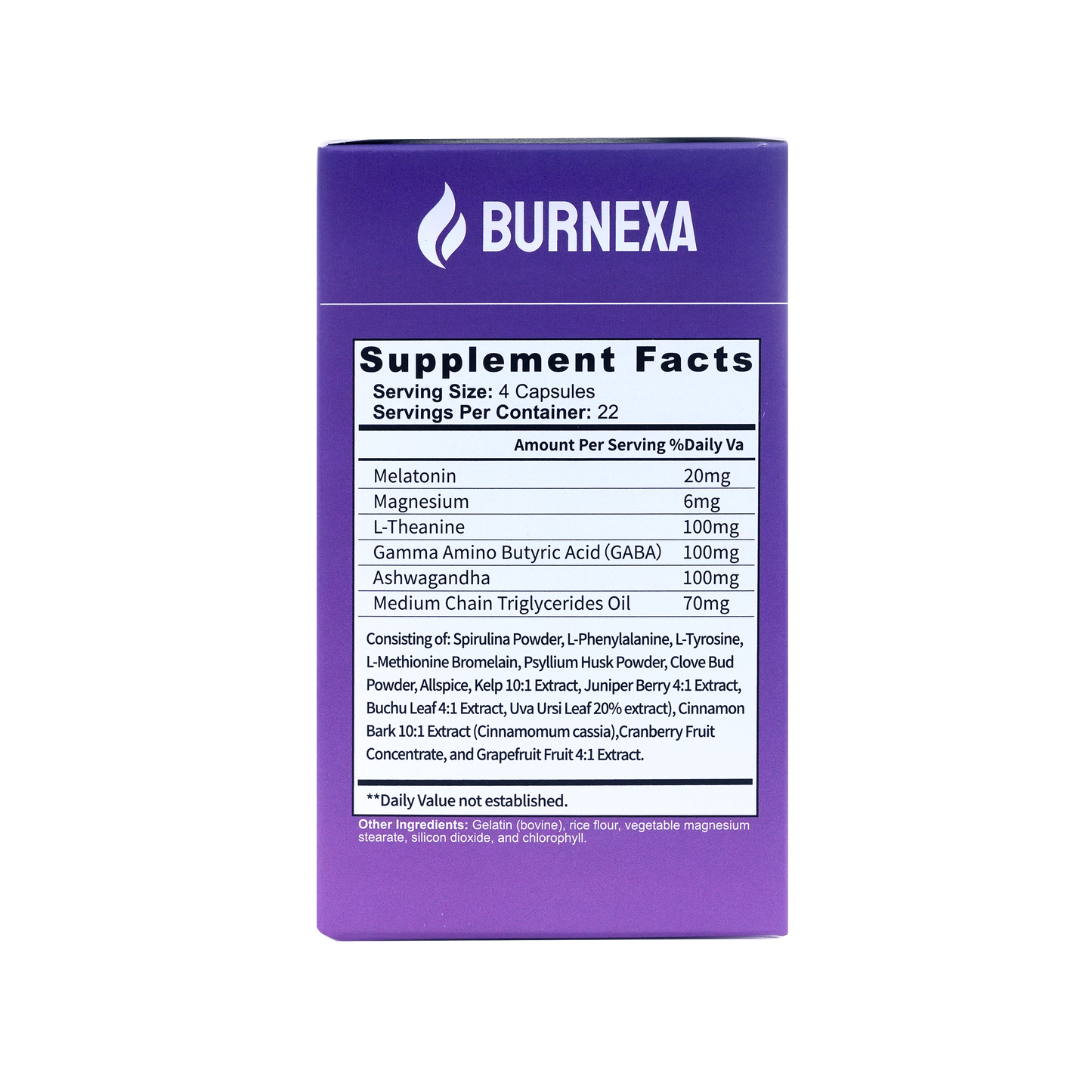 Burnexa Night Time Fat Burner